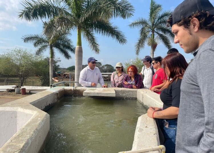 Visitan alumnos del Tec de Madero planta DUPORT