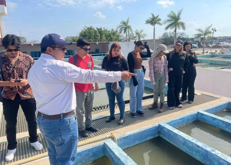 Visitan alumnos del Tec de Madero planta DUPORT