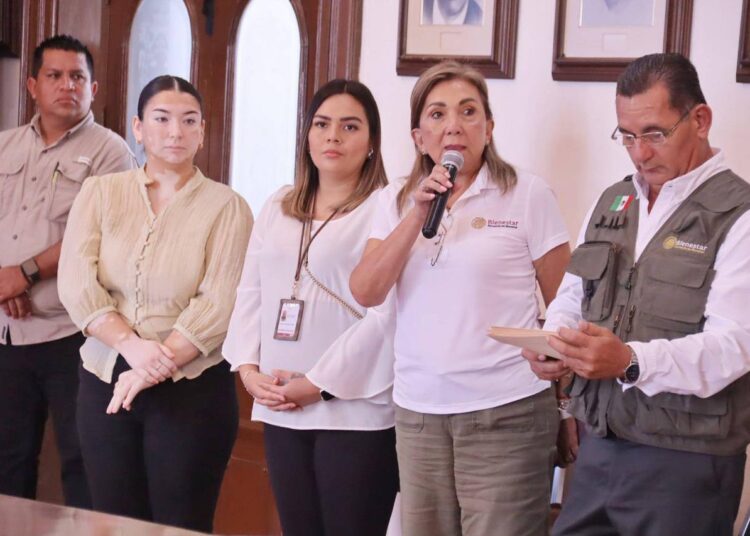 Todos contra el dengue en Victoria