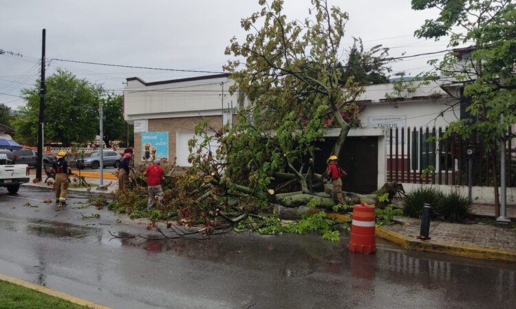 Activó Lalo Gattás ‘operativo por tormenta’