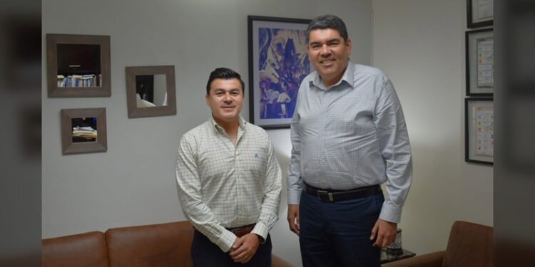Nuevos parques eólicos de Tamaulipas comenzarán a generar energía hasta 2028