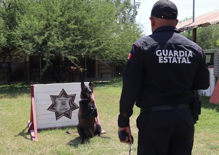 Binomios K-9 de la Guardia Estatal fortalecen la seguridad y la cercanía con la ciudadanía