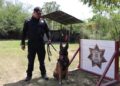 Binomios K-9 de la Guardia Estatal fortalecen la seguridad y la cercanía con la ciudadanía