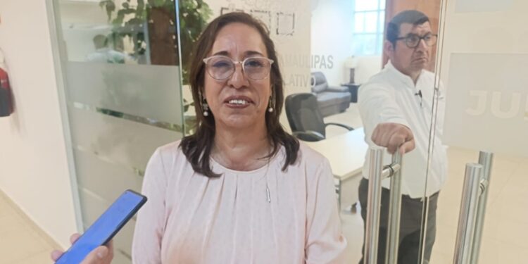 Crece el rumor de licencias en el Congreso mientras Morena prepara competencia interna