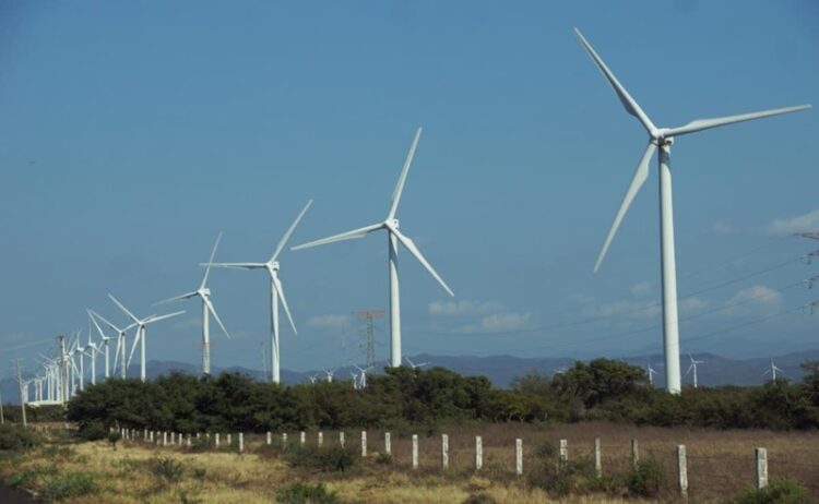05 de junio, ‘Día Mundial del Medio Ambiente’ 2026