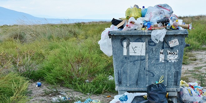 05 de junio, ‘Día Mundial del Medio Ambiente’ 2026