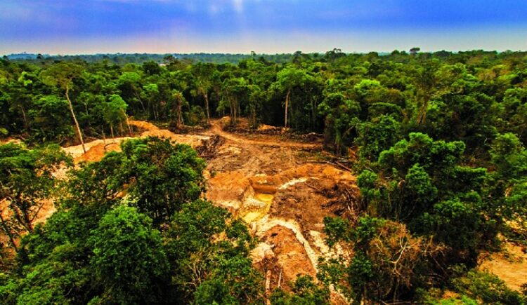 05 de junio, ‘Día Mundial del Medio Ambiente’ 2026