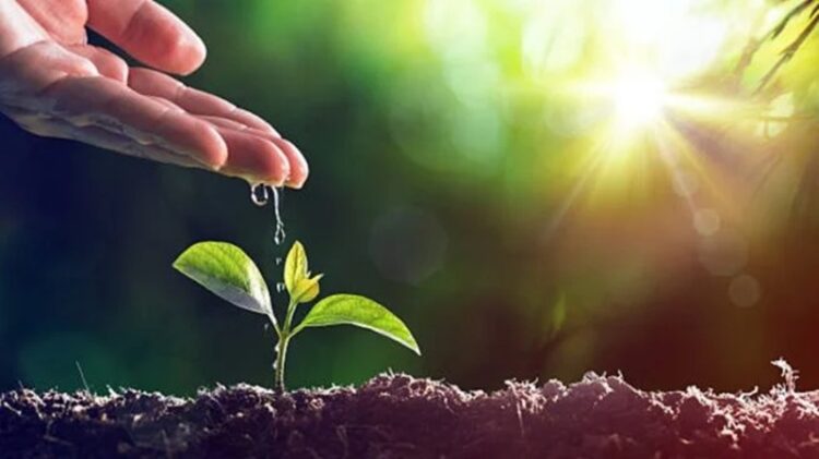 05 de junio, ‘Día Mundial del Medio Ambiente’ 2026