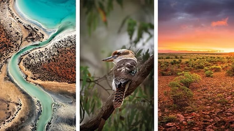 05 de junio, ‘Día Mundial del Medio Ambiente’ 2026