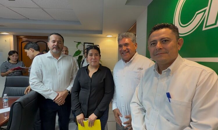 Gestiona AMM soluciones para plantel escolar afectado por bajo voltaje