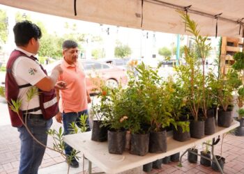 Impulsa Gobierno de NLD cultura del reciclaje con ‘Reciclatón’