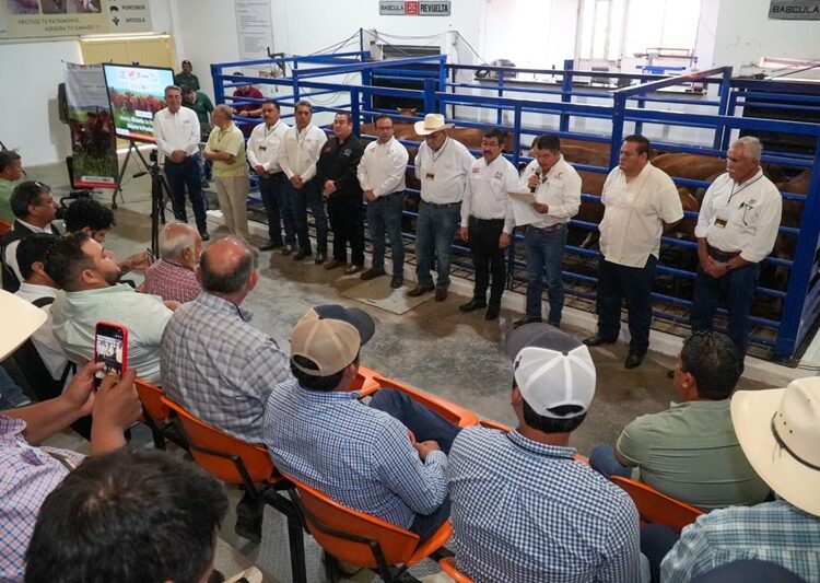 Impulsa UAT alianza estratégica para fortalecer el sector ganadero en Tamaulipas