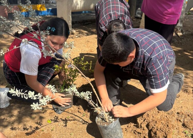 Impulsan ‘Forestación’ y cuidado del ‘Medio Ambiente’ en Escuela Lauro Aguirre