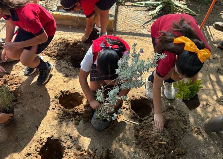 Impulsan ‘Forestación’ y cuidado del ‘Medio Ambiente’ en Escuela Lauro Aguirre