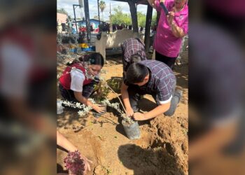 Impulsan ‘Forestación’ y cuidado del ‘Medio Ambiente’ en Escuela Lauro Aguirre