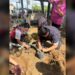 Impulsan ‘Forestación’ y cuidado del ‘Medio Ambiente’ en Escuela Lauro Aguirre