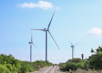 Nuevos parques eólicos de Tamaulipas comenzarán a generar energía hasta 2028