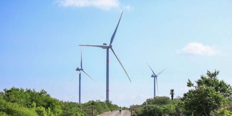 Nuevos parques eólicos de Tamaulipas comenzarán a generar energía hasta 2028