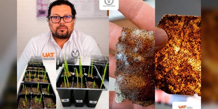 Patenta la UAT bioplásticos que recuperan suelos erosionados
