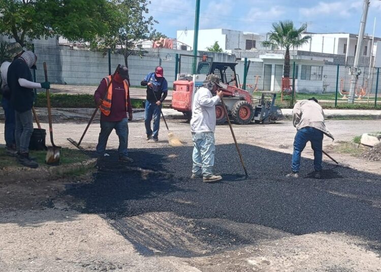 Reactivan bacheo en Victoria para reparar calles dañadas por lluvias