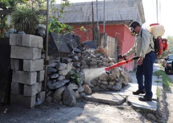 Tamaulipas acumula 30 casos de ‘dengue’ durante 2026