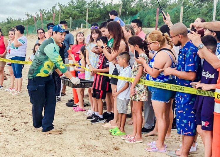 Viven familias la 1.ª liberación pública de tortuga lora en La Pesca