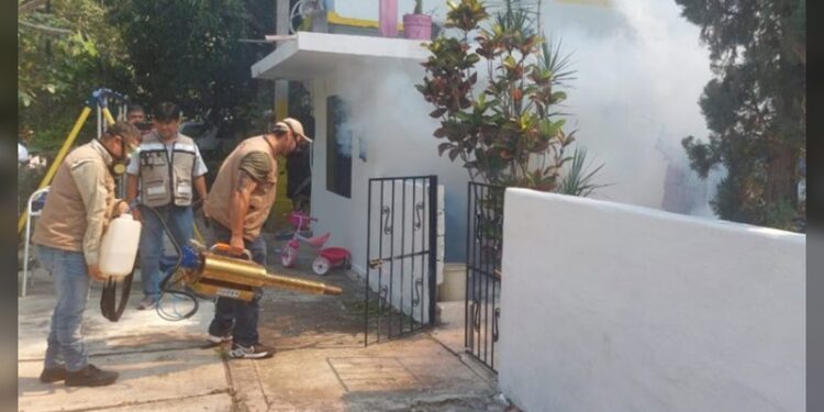 Tamaulipas mantiene baja incidencia de dengue y sin casos de otras enfermedades transmitidas por mosquito