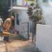 Tamaulipas mantiene baja incidencia de dengue y sin casos de otras enfermedades transmitidas por mosquito